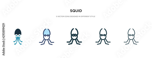 squid icon in different style vector illustration. two colored and black squid vector icons designed in filled, outline, line and stroke style can be used for web, mobile, ui