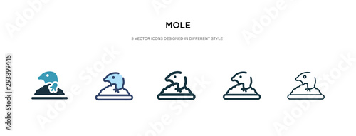 mole icon in different style vector illustration. two colored and black mole vector icons designed in filled, outline, line and stroke style can be used for web, mobile, ui