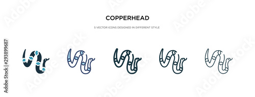 copperhead icon in different style vector illustration. two colored and black copperhead vector icons designed in filled, outline, line and stroke style can be used for web, mobile, ui photo