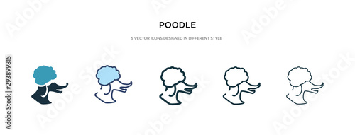 poodle icon in different style vector illustration. two colored and black poodle vector icons designed in filled, outline, line and stroke style can be used for web, mobile, ui