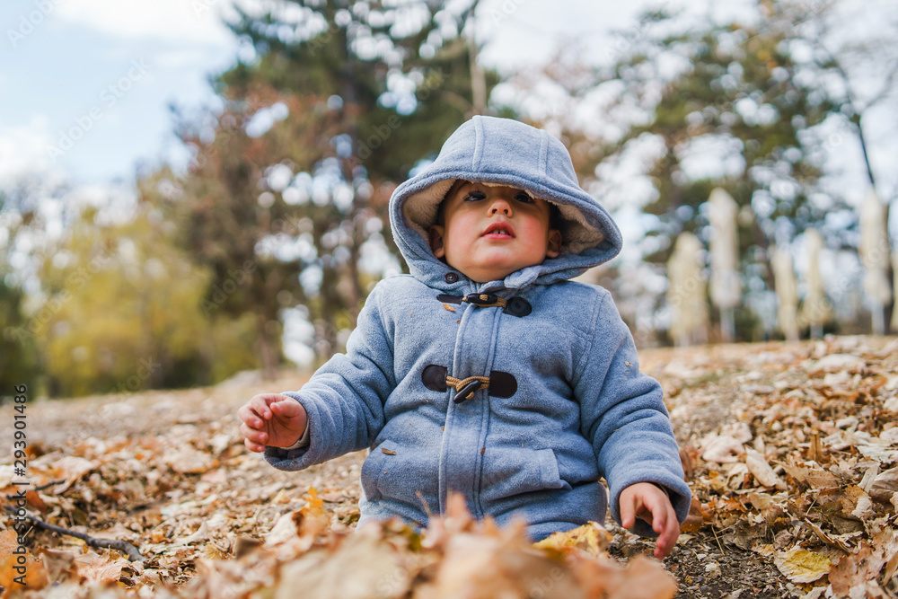 Portrait of small boy wearing coat playing with brown fallen leaves in park on the field in autumn day having fun in nature Portrait of small boy wearing coat playing with brown fallen leaves in park on the field in autumn day having fun in nature