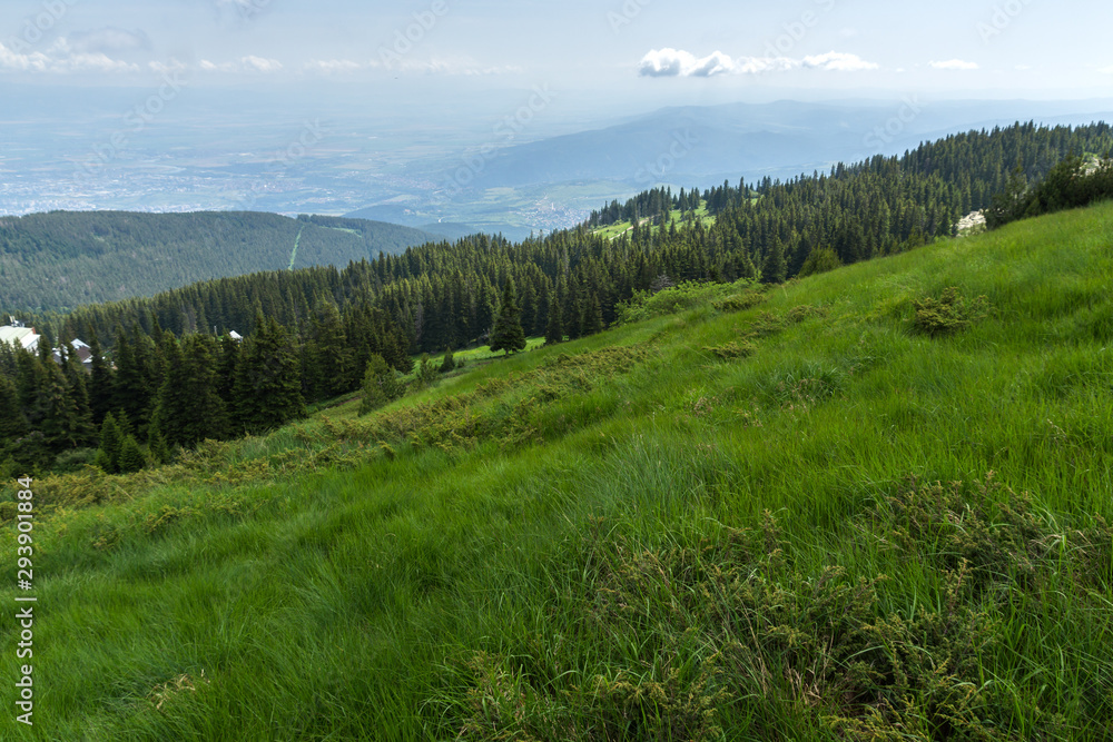 Summer Landscape of Vitosha Mountain, Bulgaria