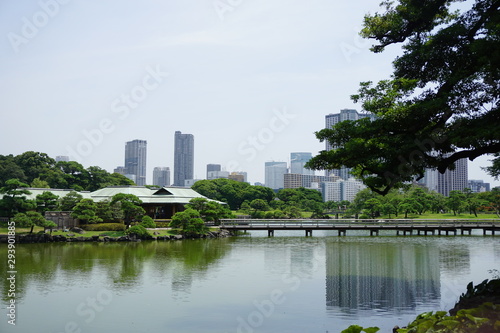 Tokyo park © Leo