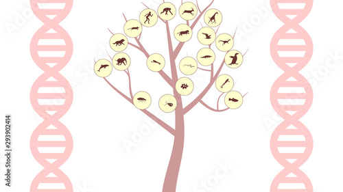 Set of animals icons vector design.  Animals icon collection. Evolution illustration