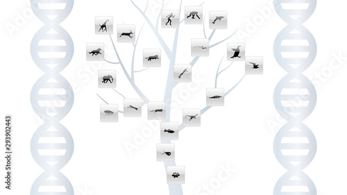 Set of animals icons vector design.  Animals icon collection. Evolution illustration