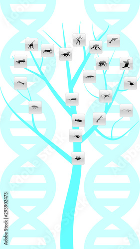 Set of animals icons vector design.  Animals icon collection. Evolution illustration