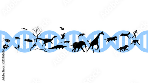 Set of animals icons vector design.  Animals icon collection. Evolution illustration