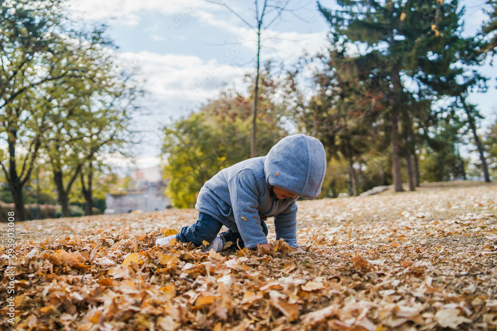 Portrait of small boy wearing coat playing with brown fallen leaves in park on the field in autumn day having fun in nature