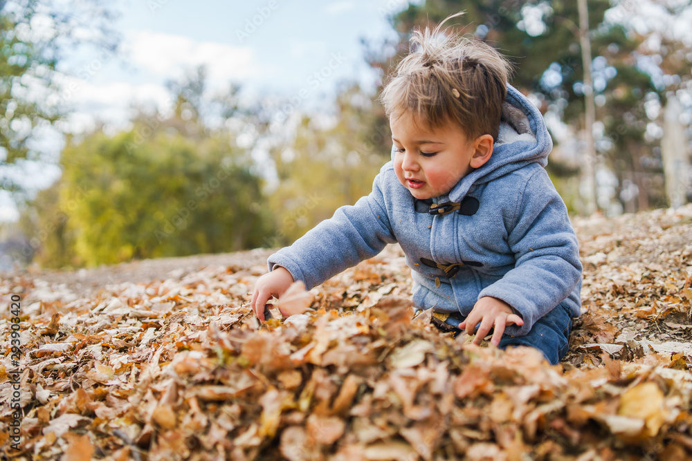 Portrait of small boy wearing coat playing with brown fallen leaves in park on the field in autumn day having fun in nature Portrait of small boy wearing coat playing with brown fallen leaves in park on the field in autumn day having fun in nature