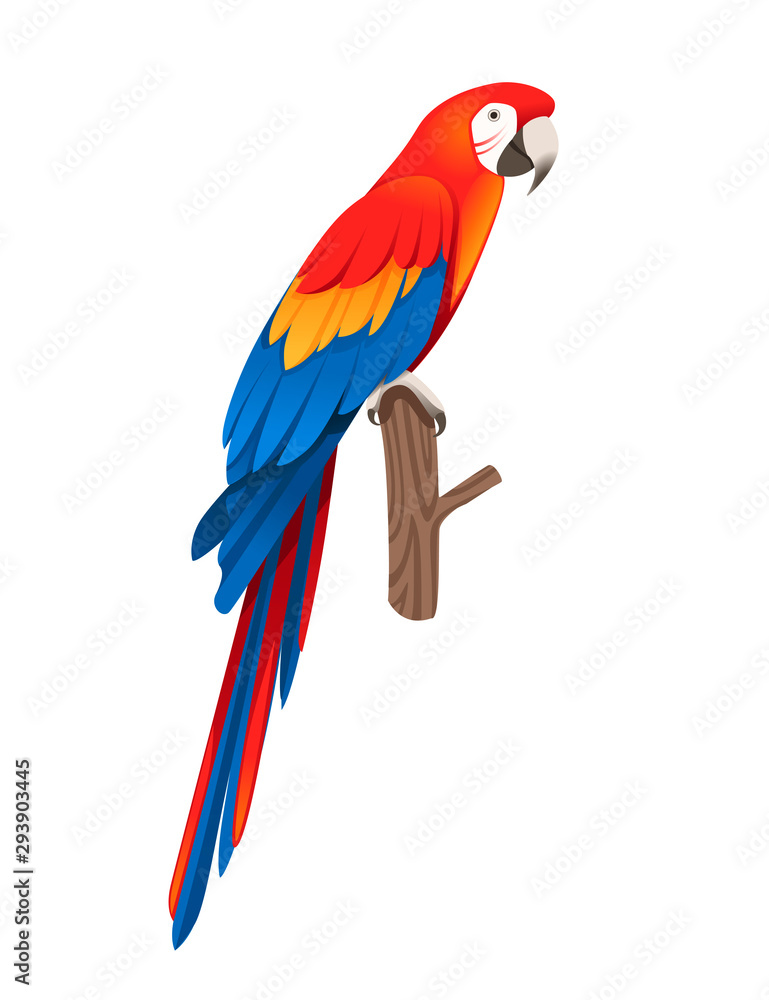 Adult parrot of red-and-green macaw Ara sitting on a branch (Ara chloropterus) cartoon bird design flat vector illustration isolated on white background