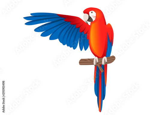 Adult parrot of red-and-green macaw Ara sitting on a branch and flapping wings(Ara chloropterus) cartoon bird design flat vector illustration isolated on white background