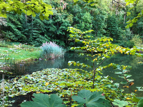 Eichweier or Eichweiher pond (Three Ponds recreation area or Das Naherholungsgebiet Drei Weihern), Drei Weieren - St. Gallen, Switzerland photo