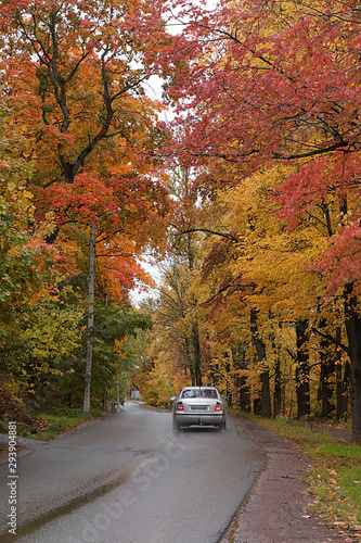 Russia, St. Petersburg, October 2, 2019, Duderhof Heights. In the photo - autumn road with bright leaves and a car. The beauty of the October