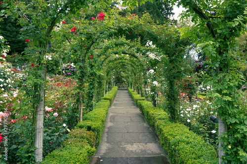 A path through the rose garden at Butchart Gardens