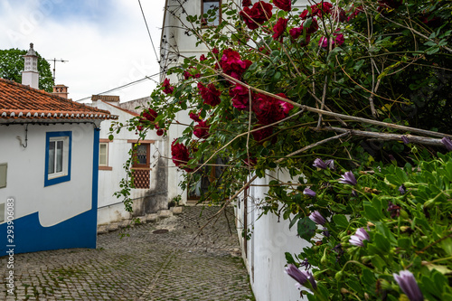 Roses and flowers decorating a street in Aljezur, a small town of Costa Vicentina, Algarve, Portugal