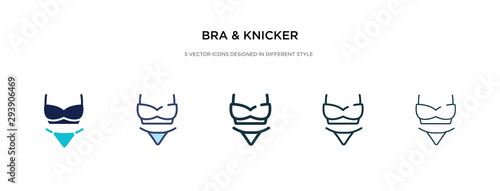 bra & knicker icon in different style vector illustration. two colored and black bra & knicker vector icons designed in filled, outline, line and stroke style can be used for web, mobile, ui