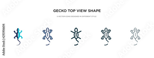 gecko top view shape icon in different style vector illustration. two colored and black gecko top view shape vector icons designed in filled  outline  line and stroke style can be used for web 