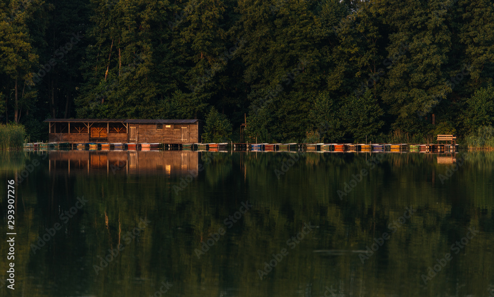 Obraz premium Forest Lake Idylle