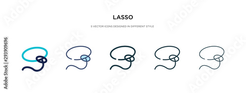 lasso icon in different style vector illustration. two colored and black lasso vector icons designed in filled, outline, line and stroke style can be used for web, mobile, ui photo