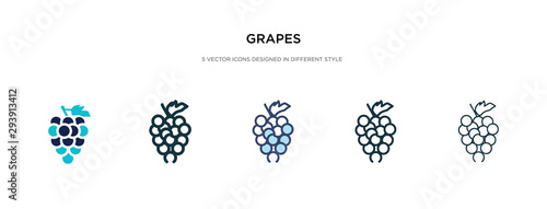 grapes icon in different style vector illustration. two colored and black grapes vector icons designed in filled, outline, line and stroke style can be used for web, mobile, ui