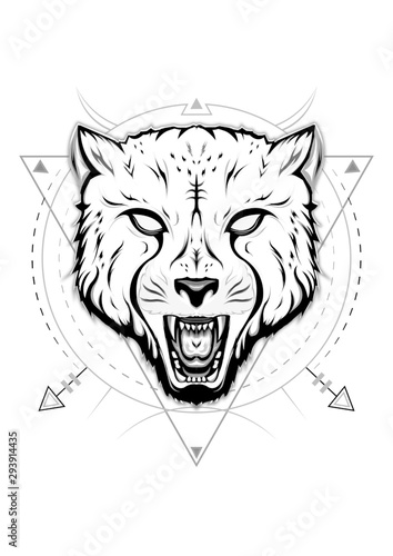 Portrait of Cheetah. line art drawn illustration