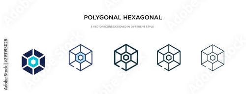 polygonal hexagonal icon in different style vector illustration. two colored and black polygonal hexagonal vector icons designed in filled, outline, line and stroke style can be used for web,
