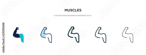 muscles icon in different style vector illustration. two colored and black muscles vector icons designed in filled, outline, line and stroke style can be used for web, mobile, ui