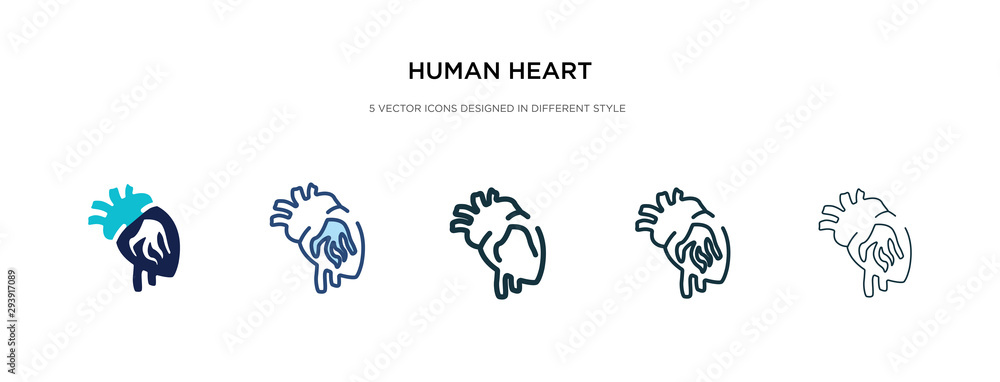human heart icon in different style vector illustration. two colored and black human heart vector icons designed in filled, outline, line and stroke style can be used for web, mobile, ui