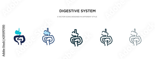 digestive system icon in different style vector illustration. two colored and black digestive system vector icons designed in filled, outline, line and stroke style can be used for web, mobile, ui