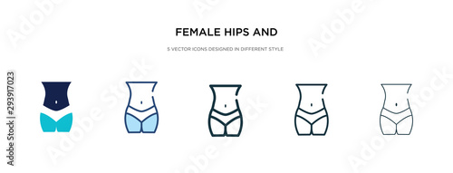 female hips and waist icon in different style vector illustration. two colored and black female hips and waist vector icons designed in filled, outline, line stroke style can be used for web,