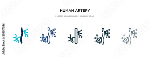 human artery icon in different style vector illustration. two colored and black human artery vector icons designed in filled, outline, line and stroke style can be used for web, mobile, ui photo