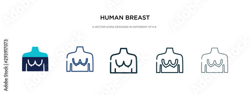 human breast icon in different style vector illustration. two colored and black human breast vector icons designed in filled, outline, line and stroke style can be used for web, mobile, ui