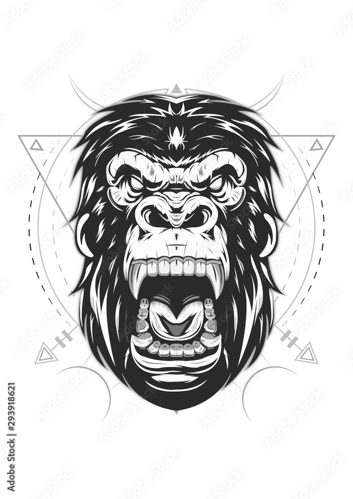 Obraz premium Face of gorilla isolated on white background.