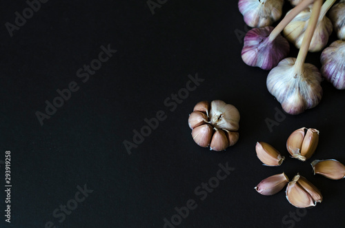 flat lay, top view autumn crop of garlic bulbs, heads of garlic, individual cloves on a dark black background. Fresh gralic cloves. spicy spice, national cuisine. banner, low key, space for text