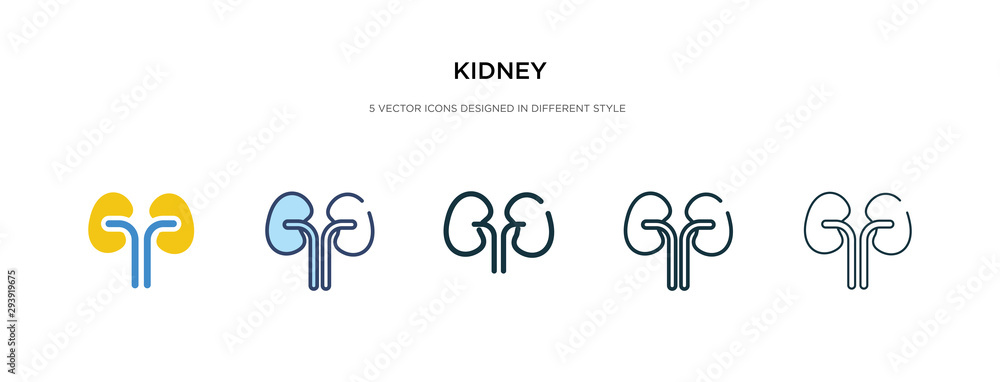 kidney icon in different style vector illustration. two colored and black kidney vector icons designed in filled, outline, line and stroke style can be used for web, mobile, ui kidney icon in different style vector illustration. two colored and black kidney vector icons designed in filled, outline, line and stroke style can be used for web, mobile, ui