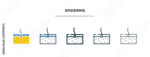 epidermis icon in different style vector illustration. two colored and black epidermis vector icons designed in filled, outline, line and stroke style can be used for web, mobile, ui