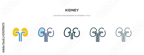kidney icon in different style vector illustration. two colored and black kidney vector icons designed in filled, outline, line and stroke style can be used for web, mobile, ui