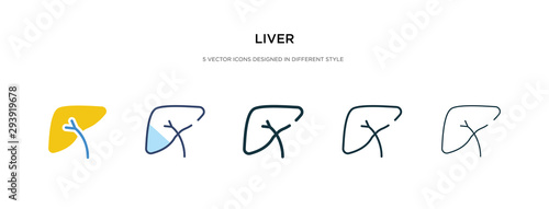 liver icon in different style vector illustration. two colored and black liver vector icons designed in filled, outline, line and stroke style can be used for web, mobile, ui