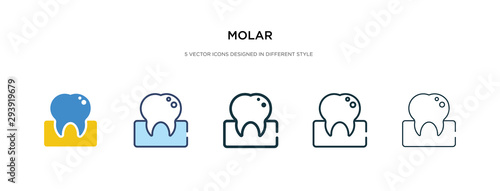 molar icon in different style vector illustration. two colored and black molar vector icons designed in filled, outline, line and stroke style can be used for web, mobile, ui