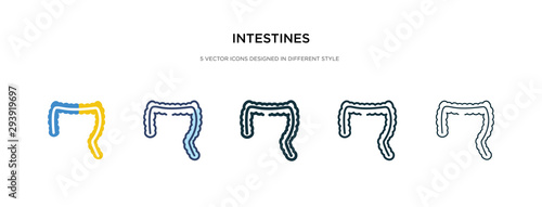 intestines icon in different style vector illustration. two colored and black intestines vector icons designed in filled, outline, line and stroke style can be used for web, mobile, ui