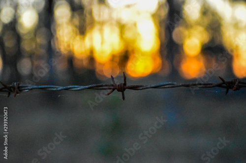 bob wire sunset  © Kayla