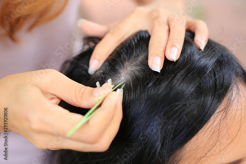 Canvas-taulu Close up Woman's hand using tweezers to plucking gray hair roots from head