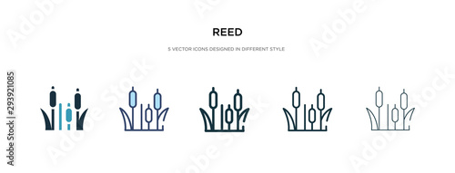 reed icon in different style vector illustration. two colored and black reed vector icons designed in filled, outline, line and stroke style can be used for web, mobile, ui
