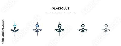 gladiolus icon in different style vector illustration. two colored and black gladiolus vector icons designed in filled, outline, line and stroke style can be used for web, mobile, ui