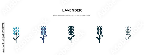 lavender icon in different style vector illustration. two colored and black lavender vector icons designed in filled, outline, line and stroke style can be used for web, mobile, ui