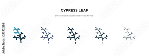 cypress leaf icon in different style vector illustration. two colored and black cypress leaf vector icons designed in filled, outline, line and stroke style can be used for web, mobile, ui