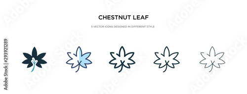 chestnut leaf icon in different style vector illustration. two colored and black chestnut leaf vector icons designed in filled, outline, line and stroke style can be used for web, mobile, ui