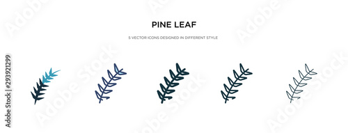 pine leaf icon in different style vector illustration. two colored and black pine leaf vector icons designed in filled, outline, line and stroke style can be used for web, mobile, ui