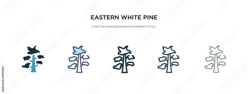 eastern white pine tree icon in different style vector illustration. two colored and black eastern white pine tree vector icons designed in filled, outline, line and stroke style can be used for eastern white pine tree icon in different style vector illustration. two colored and black eastern white pine tree vector icons designed in filled, outline, line and stroke style can be used for