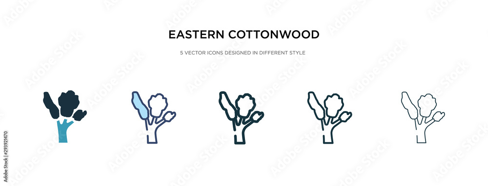 eastern cottonwood tree icon in different style vector illustration. two colored and black eastern cottonwood tree vector icons designed in filled, outline, line and stroke style can be used for eastern cottonwood tree icon in different style vector illustration. two colored and black eastern cottonwood tree vector icons designed in filled, outline, line and stroke style can be used for